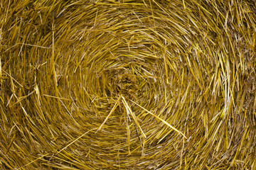straw bale
