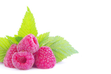 raspberry