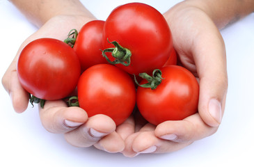 A handful of vine tomatoes
