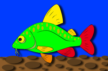 colorful fish