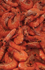 Crevettes