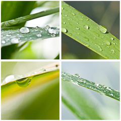 composition, gouttes d'eau