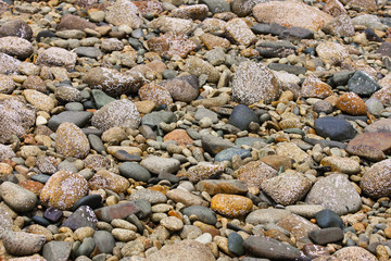 Coloured pebbles at the beach