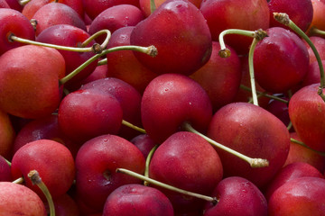 Cerezas claras