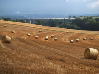 Obraz premium Strohrollen auf dem Feld