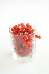 Red currant  berries