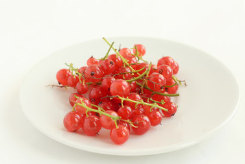 Red currant  berries