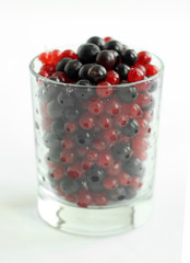 Red and black currant  berries