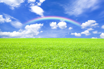 青空と草原と虹
