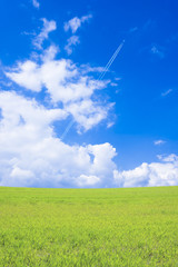 草原と青空と飛行機雲