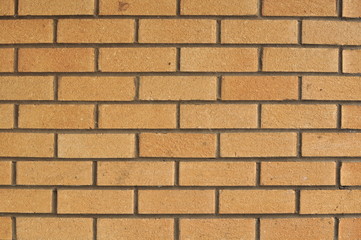 wall