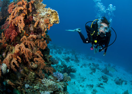 scuba diver close to soft coral