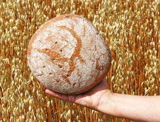 Brot & Getreide - Bread & Cereals