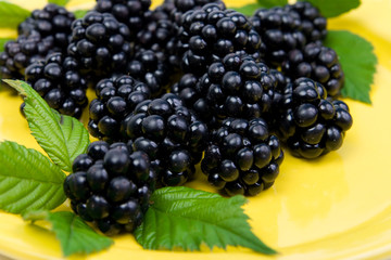 Blackberries with green leaves