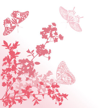 pink butterflies and sakura flowers