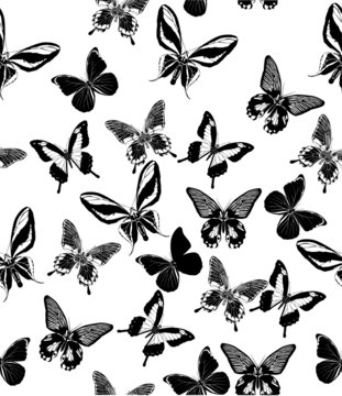 background with black tropical butterflies