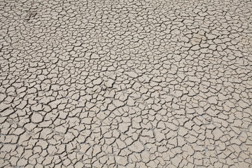 dry earth