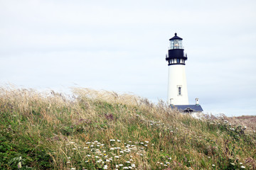 Fototapeta na wymiar Lighthouse on a Windy Hill