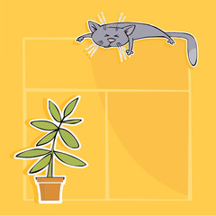 Window with cat