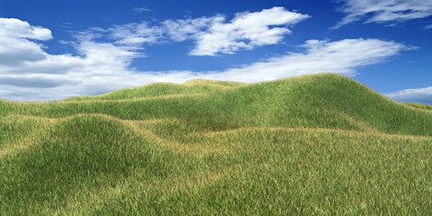 Obraz premium hügelwiese im sommer 2