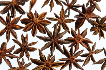 Star Anise Pattern
