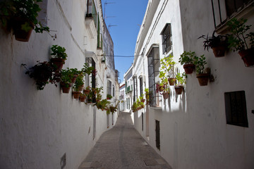 Calle con macetas en Arcos de la Frontera