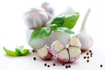 garlic