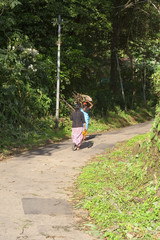 carrying firewood
