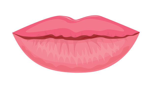 Pink women's lips.