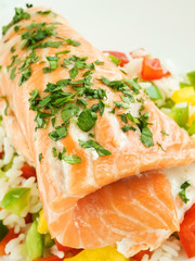 Salmon