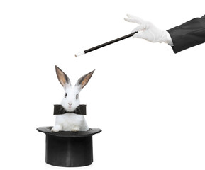 A rabbit in a hat and hand holding a magic wand - obrazy, fototapety, plakaty