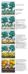 Incendies de forêts - La propagation du feu 2