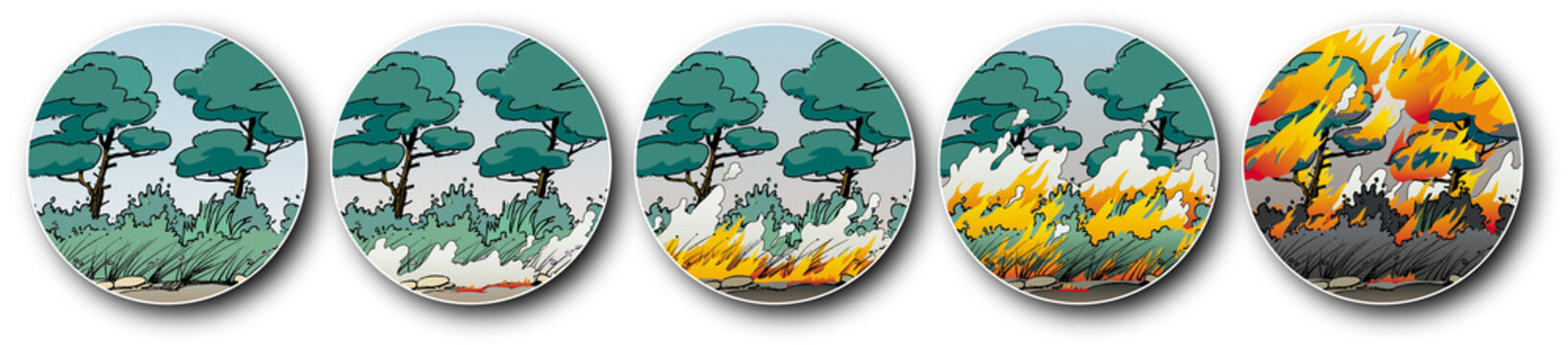Incendies de forêts - La propagation du feu 1