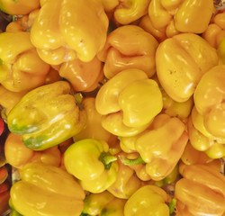 Yellow Pepper