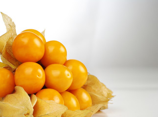 A bunch of orange physalis on white (Selective Focus)