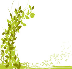 Obraz premium banniere verte de feuilles et naturelle