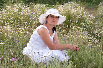 Fototapeta premium camomiles