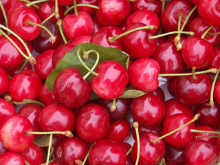 fond de cerises
