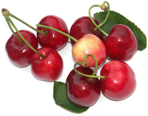 cerises, fond blanc