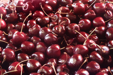 Kirschen Markt 300710 3