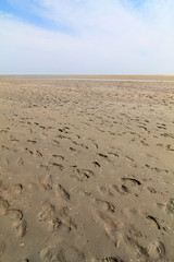Wattenmeer