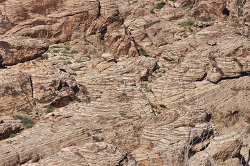 rocks