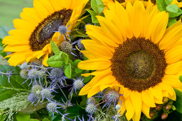 Sonnenblume, sommerlicher Blumenstrauß, Sommerblumen