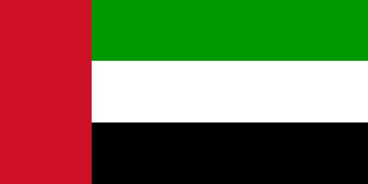 Drapeau des &Eacute;mirats arabes unis