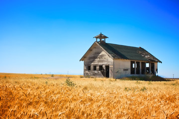 Old School House in wheat field