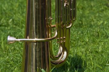 Tuba on the green grass