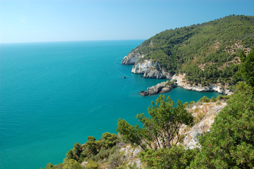 Fototapeta na wymiar summer coastline landscape, Gargano, Apulia, Italy
