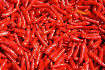 hot red chili peppers