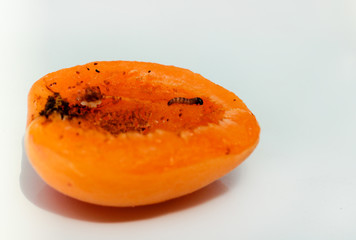 un ver dans l'abricot