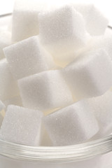 Sugar Cube